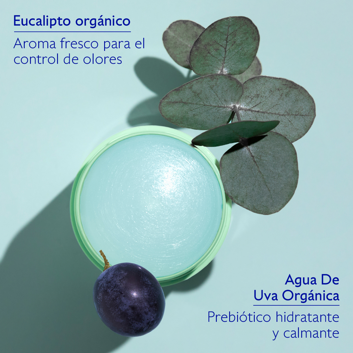 VINOFRESH DESODORANTE SIN ALUMINIO (DESODORANTE SIN ALUMINIO)